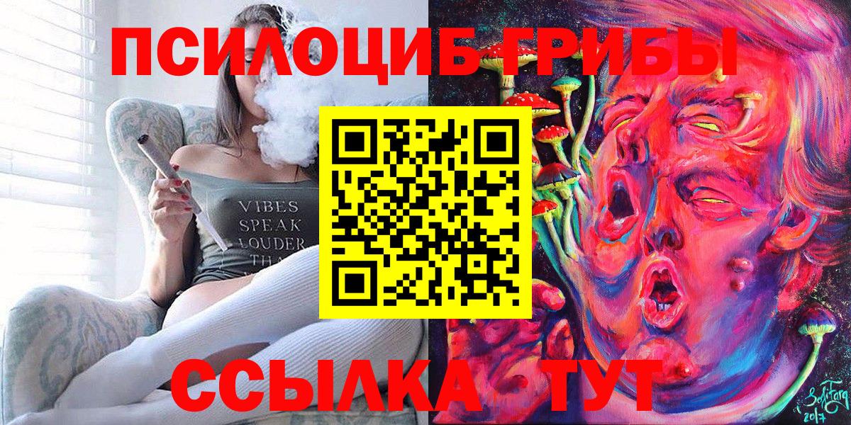 Псилоцибиновые грибы Psilocybe Новодвинск