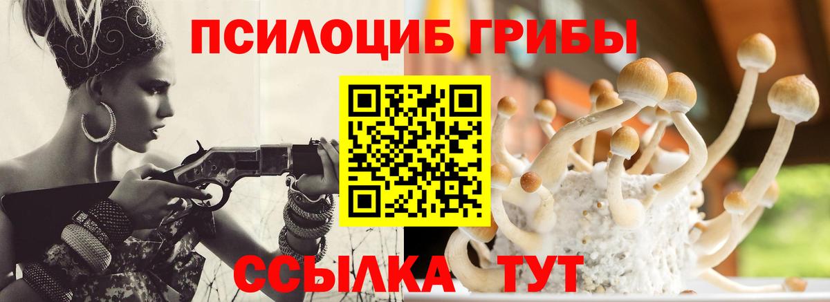Галлюциногенные грибы Magic Shrooms  Псилоцибиновые грибы Magic Shrooms  Вход с VPN  Новодвинск 